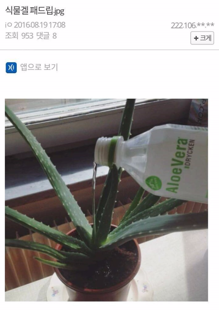 디씨월드 이미지