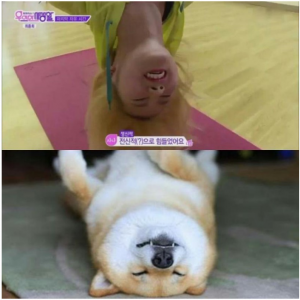 대길광고 이미지