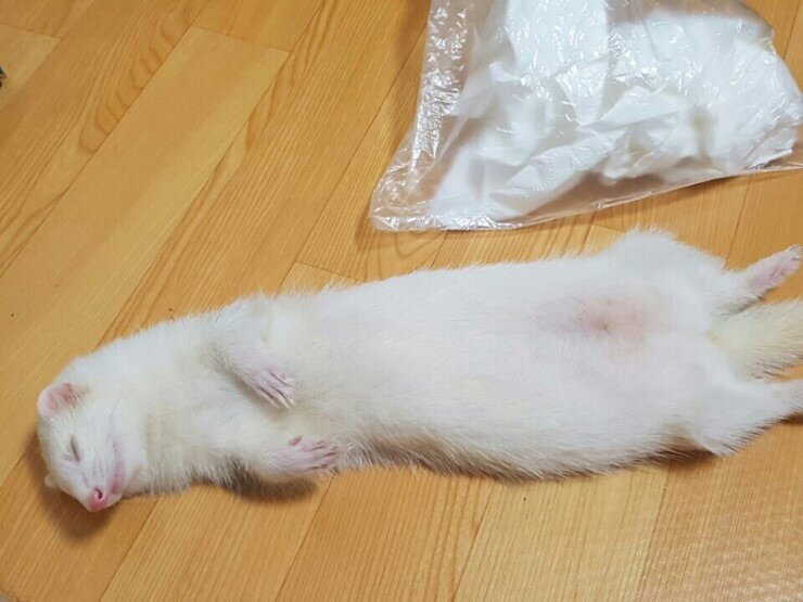엠엠알 이미지