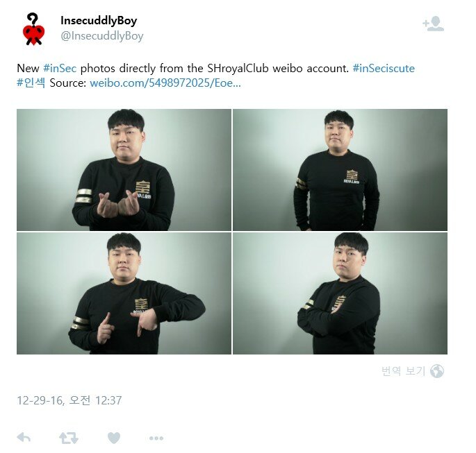 로얄클럽 이미지