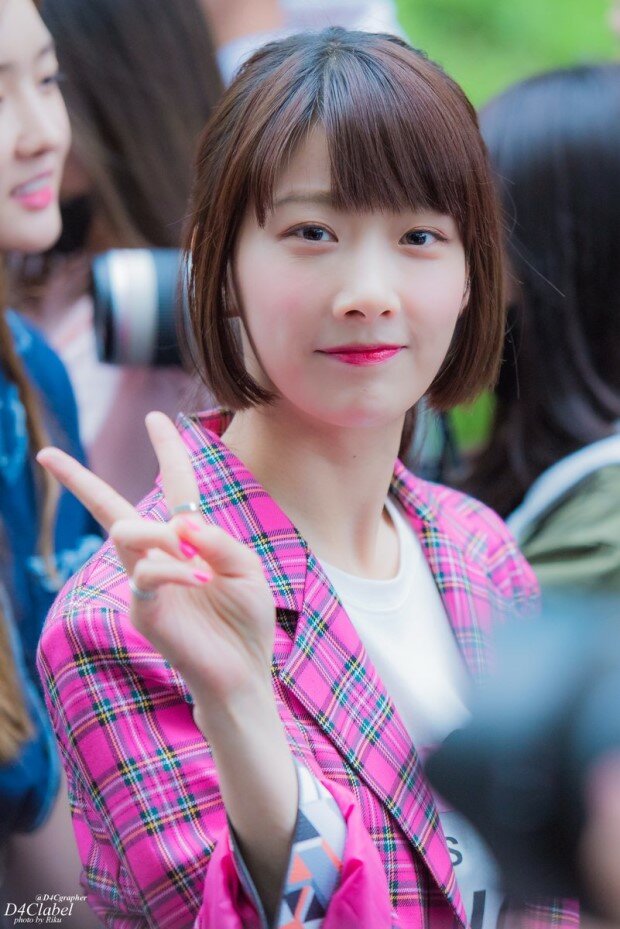 다이아컴퍼니 이미지