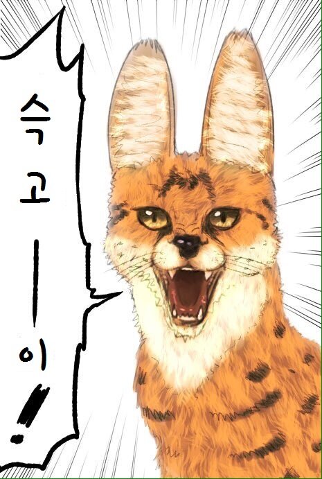 케모노 이미지