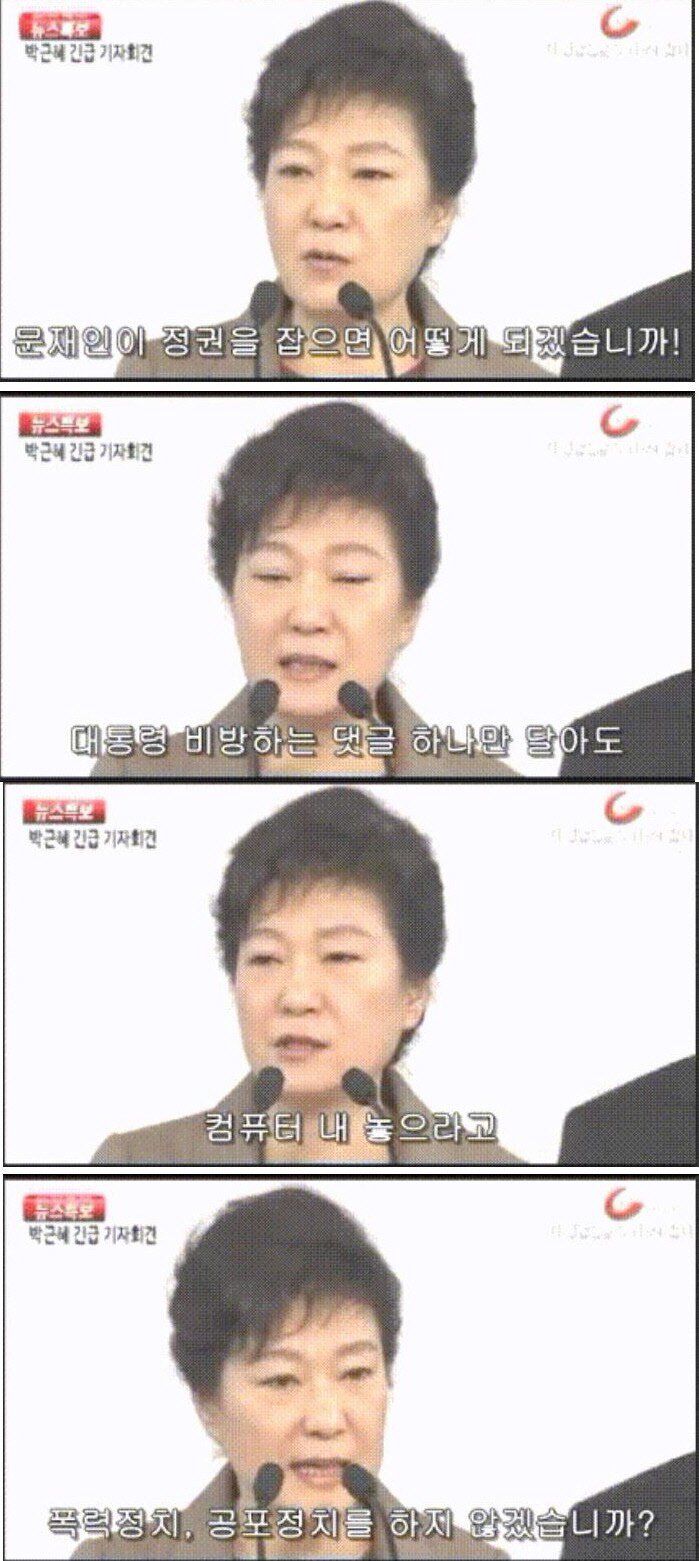 닭터 이미지