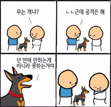 다5다 이미지