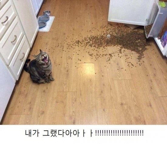 일루PC 이미지