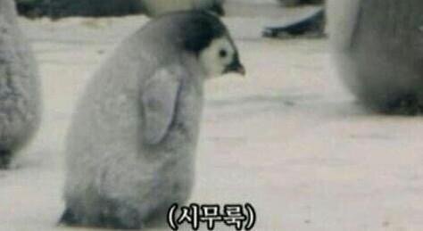 명당PC 이미지