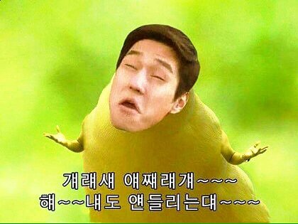고소롱 이미지