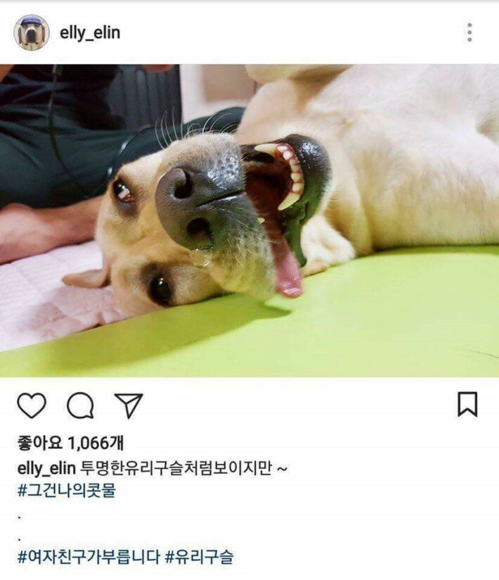 개스타그램 이미지