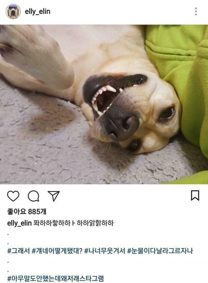 개스타그램 이미지