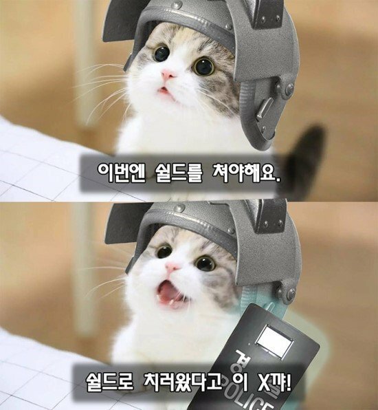드루와PC 이미지