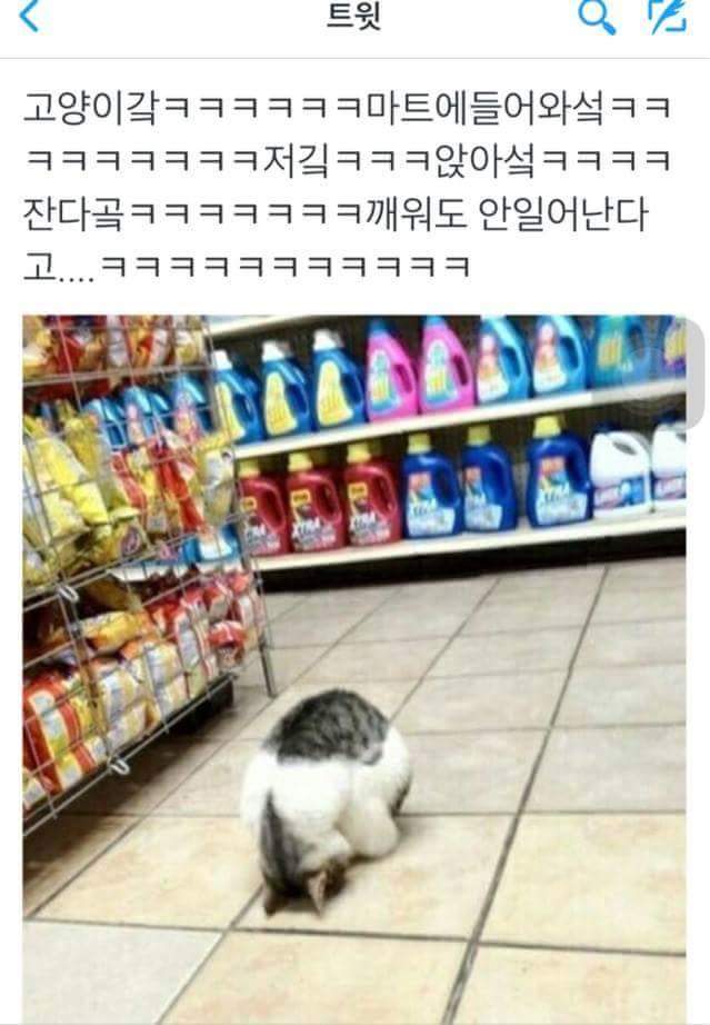 큐브마트 이미지