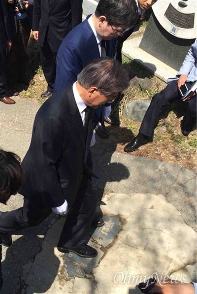 즈려밟고 이미지