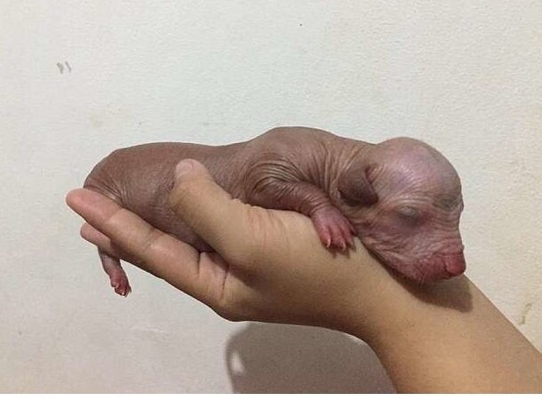 이** 이미지