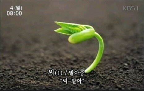 남일상사 이미지
