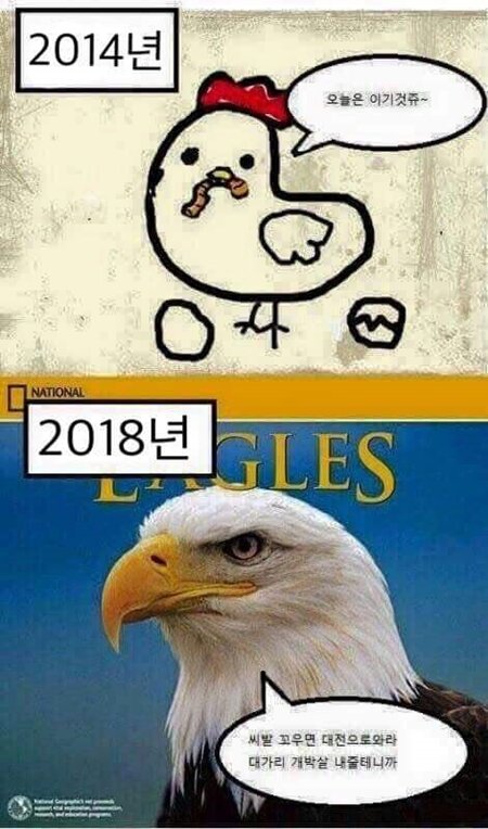 스톤애드 이미지