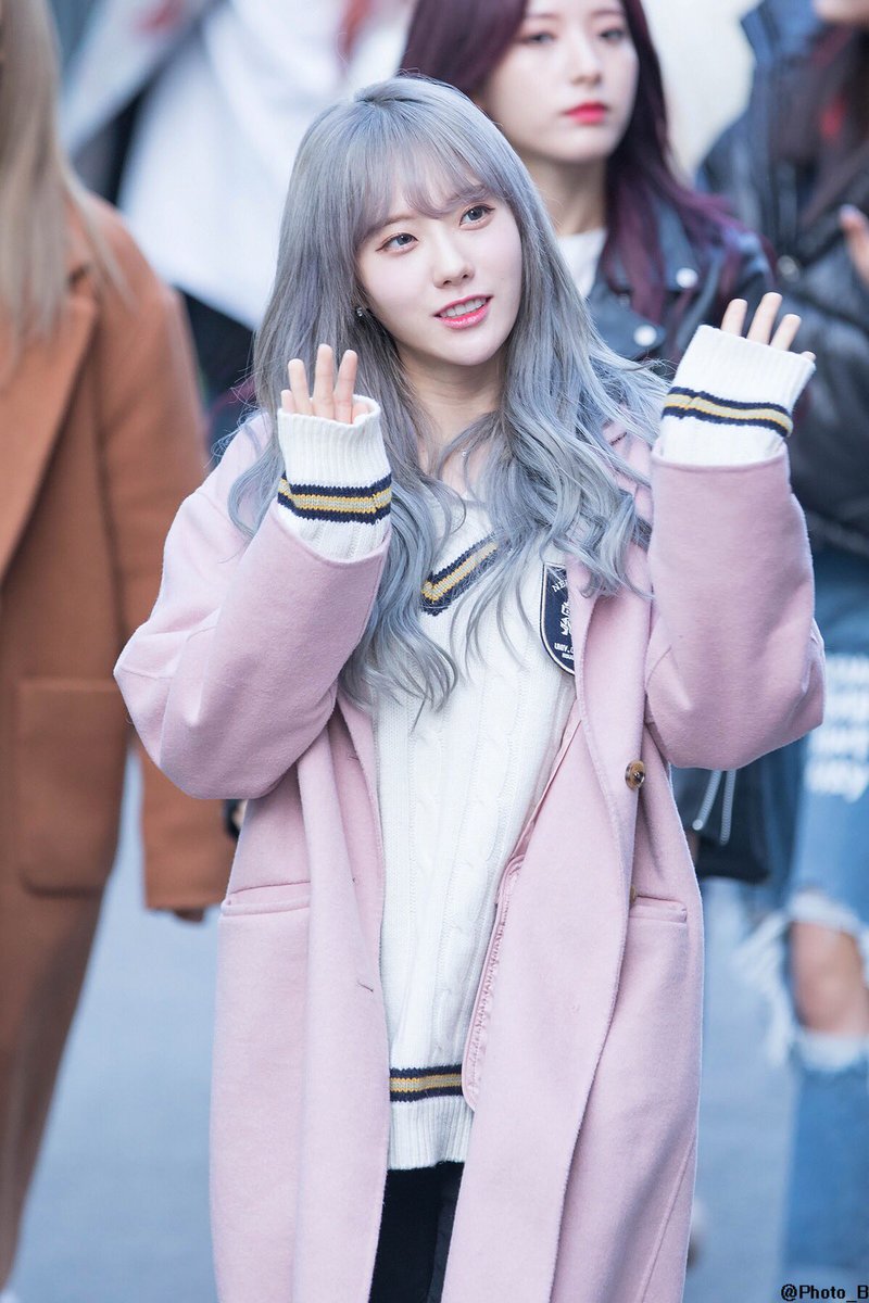 거보 이미지