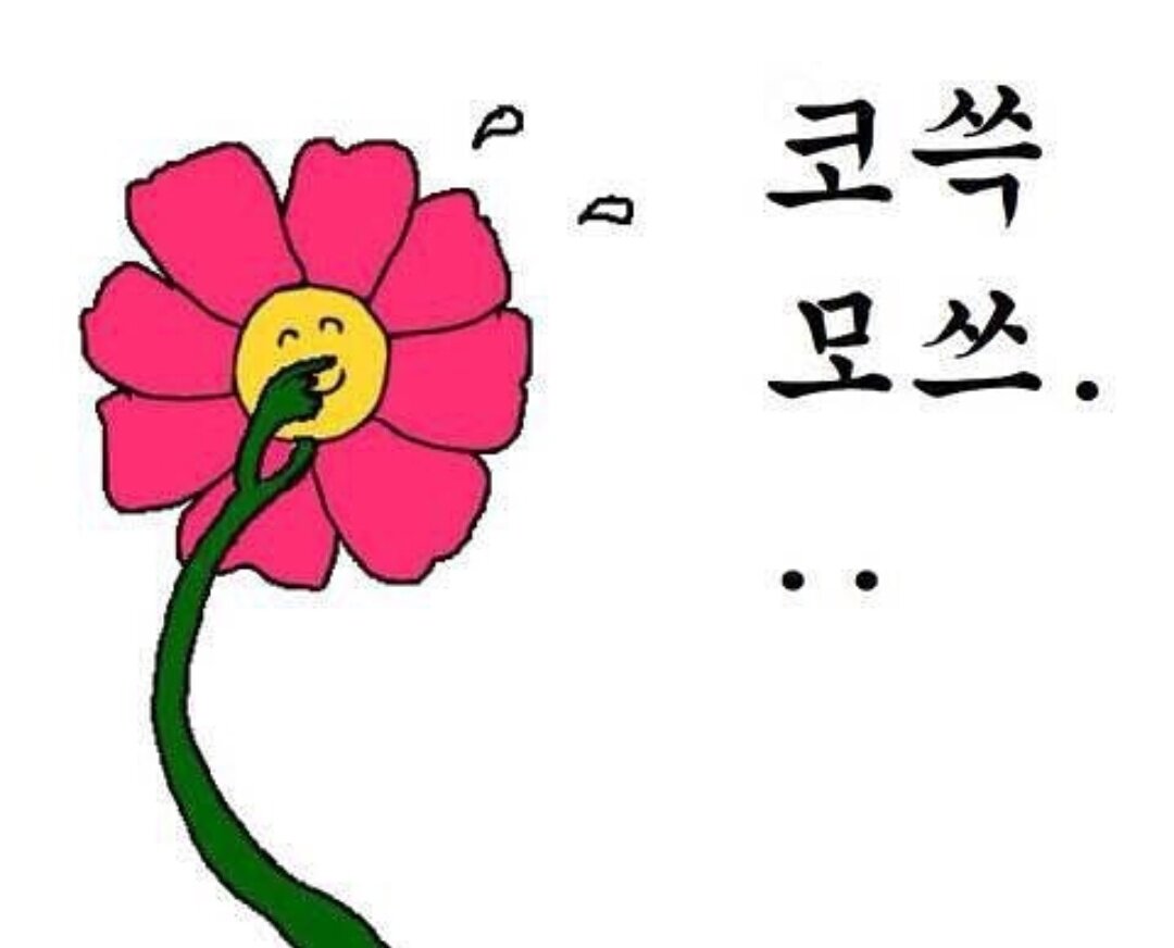 리즌 이미지