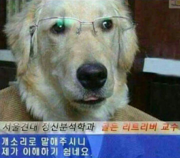 지금 이미지