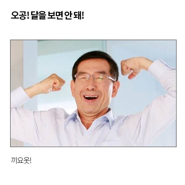 실다 이미지