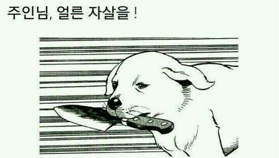 운계정 이미지