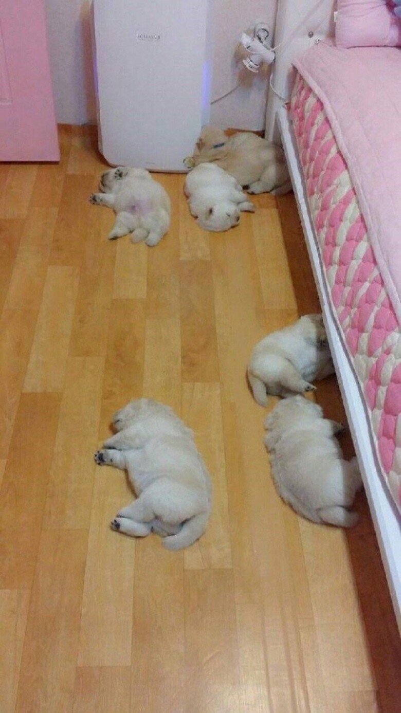 키고 이미지