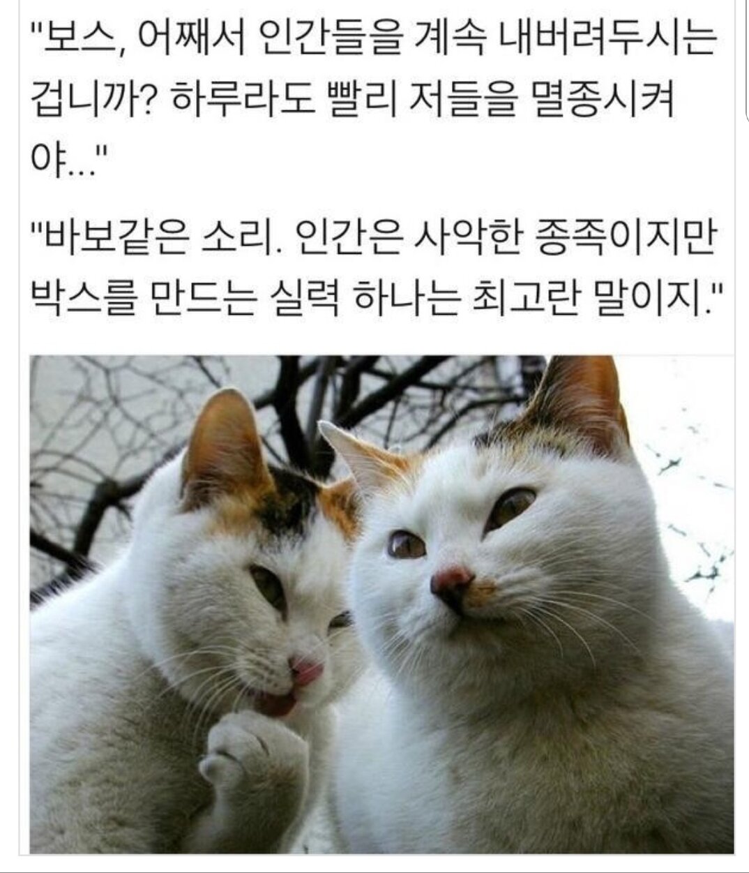 도트 이미지