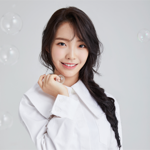 페이브 이미지